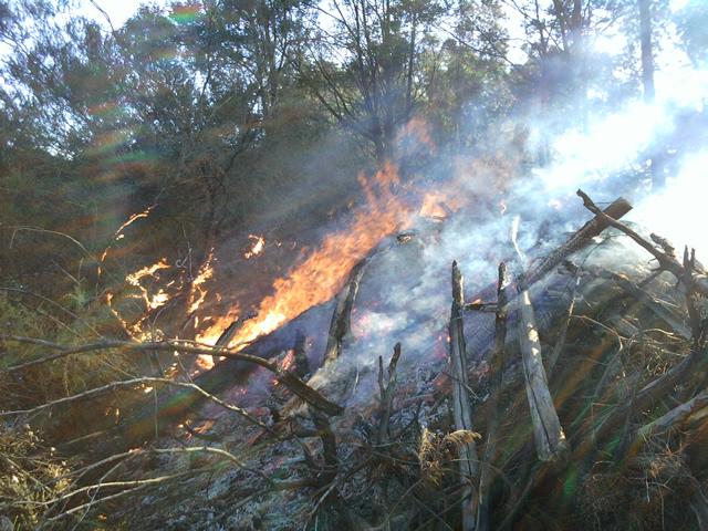 Pile Burns at Frank's 2010